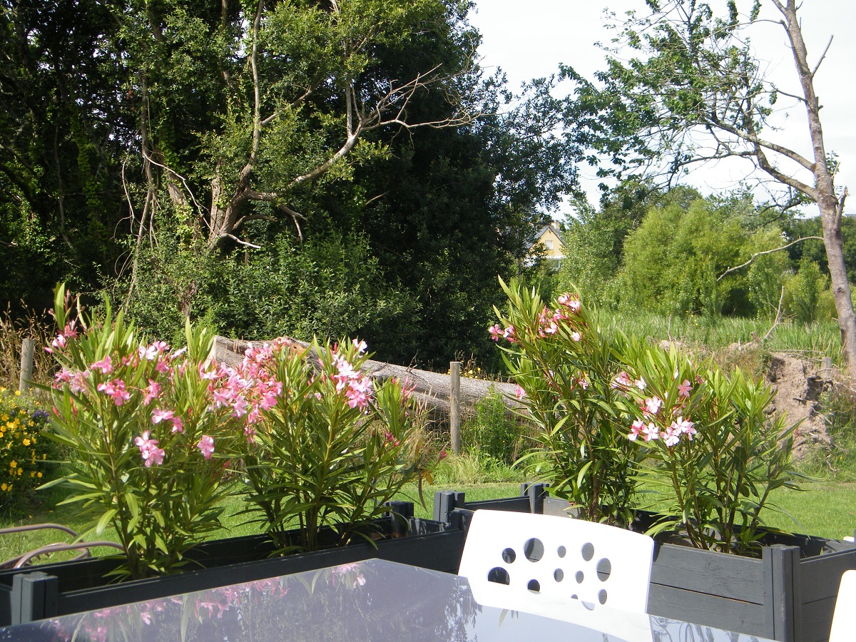 Gîte Le Niheu - Vue Terrasse