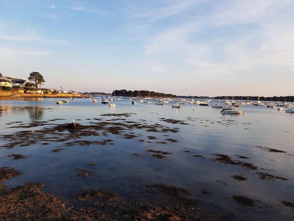 MORBIHAN - VUE DU GOLF