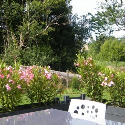 Gîte Le Niheu - Vue de la terrasse